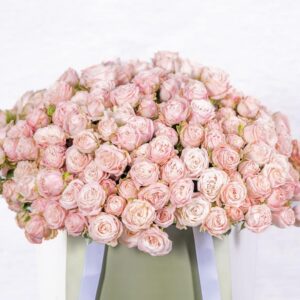 BOMBASTIC PINK BOUQUET