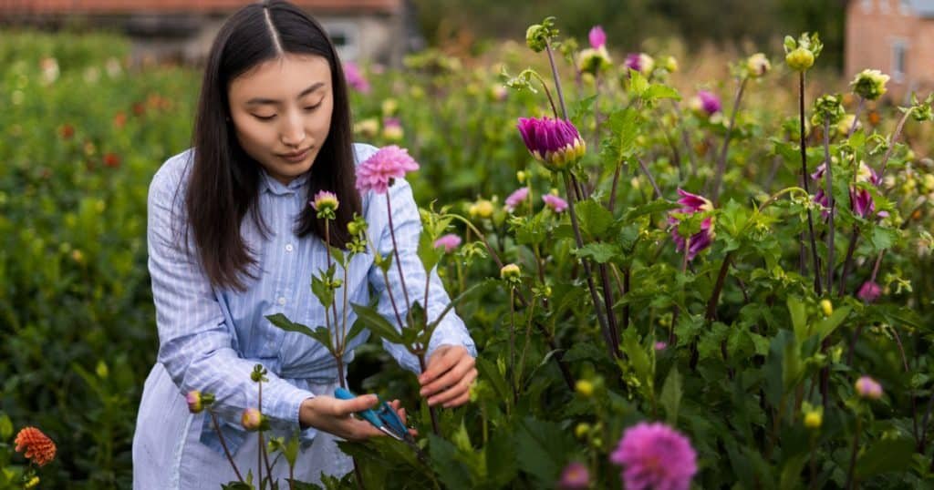 Biodiversity in Flower Farming