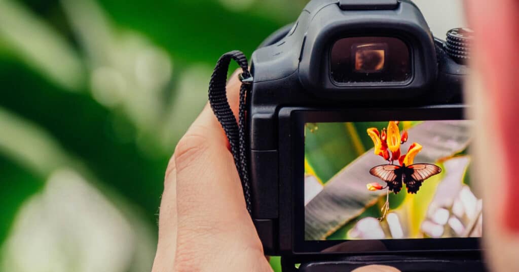 Creative Flower Photography Ideas