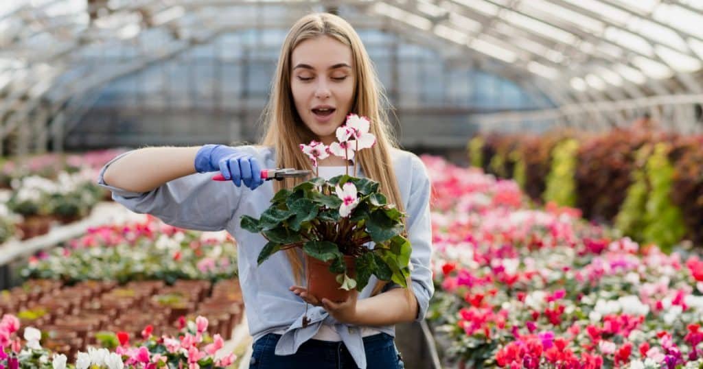 Eco-Friendly Flower Farming Practices