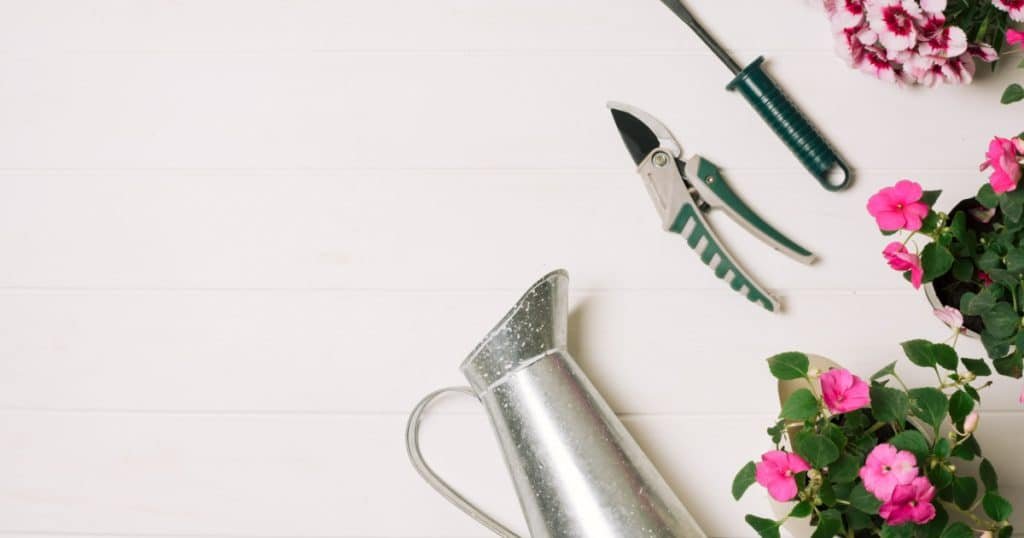 Essential Tools for Flower Care