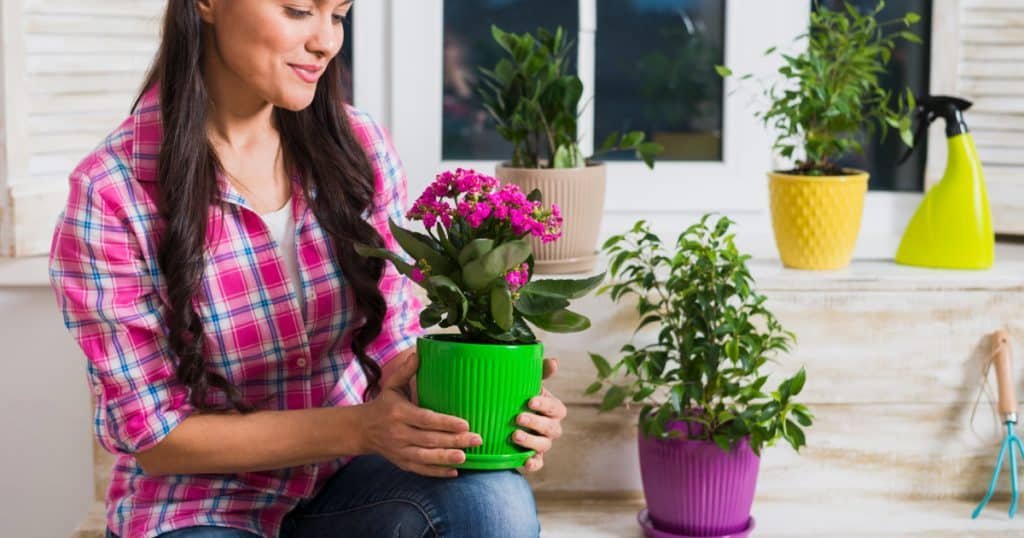 Tips for Prolonging the Life of Your Flowers